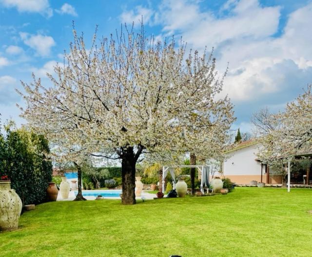 Villa "Casa Al Chiazzullo" Mirabella Eclano المظهر الخارجي الصورة